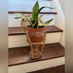 Mini wicker peacock chair plant stand